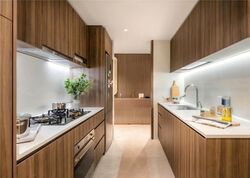 Saint Nicholas View (D20), Condominium #522194891